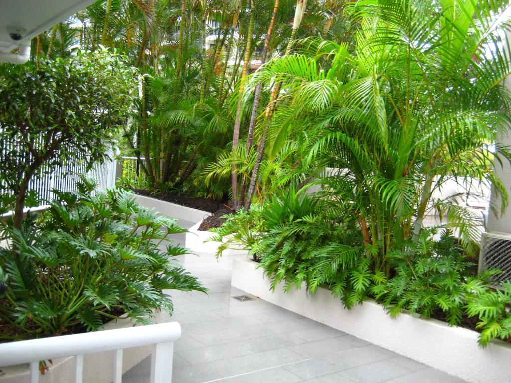 גולד קוסט Costa D'Ora Holiday Apartments מראה חיצוני תמונה